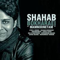 قطعه «ممنونتم» با صدای «شهاب بخارایی» قطعه «ممنونتم» با صدای «شهاب بخارایی»