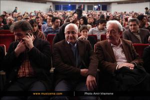 اجرای گروه آمریکایی «انیمیشن» در سی امین جشنواره موسیقی فجر
